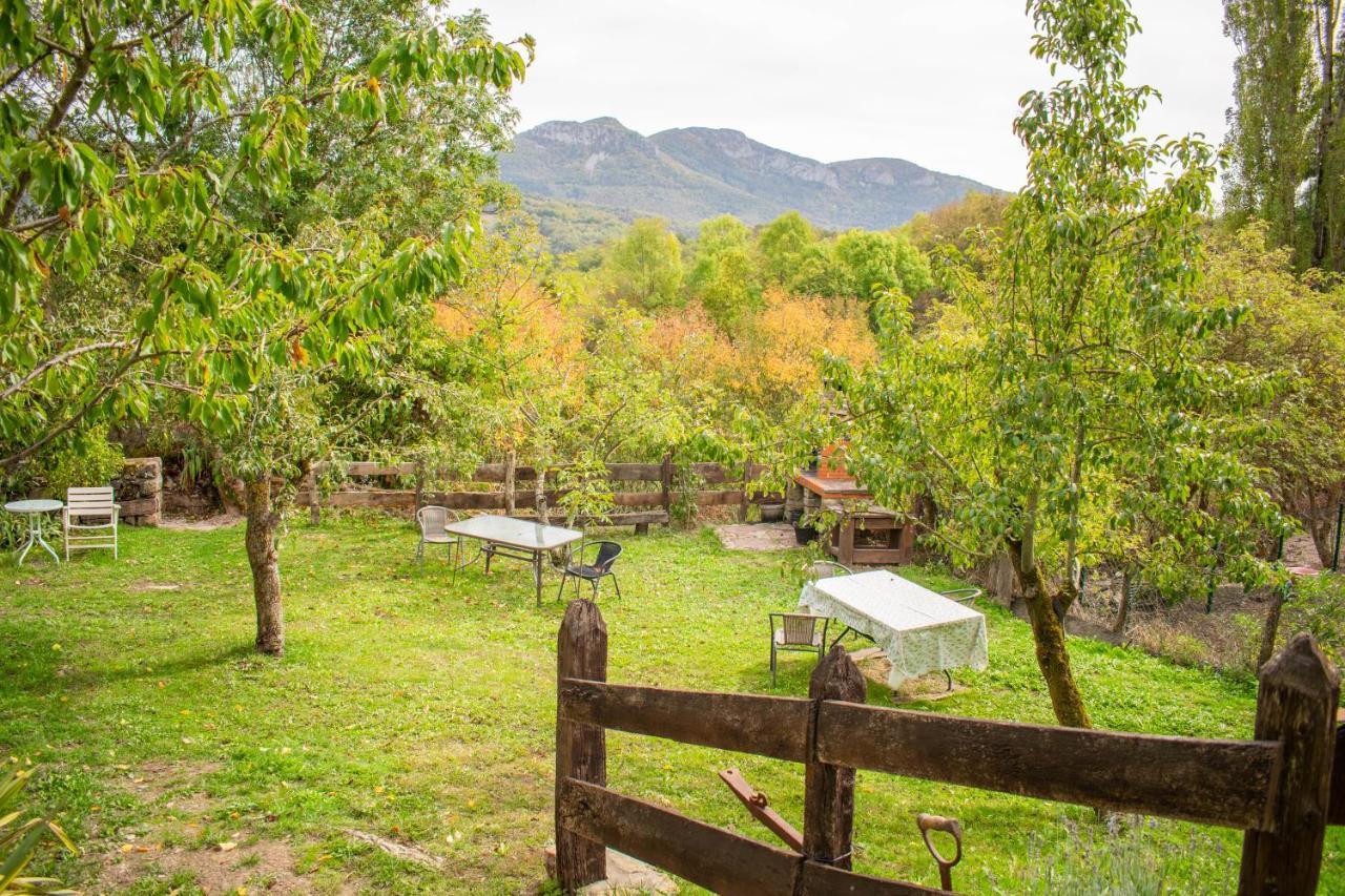Apartamento Casa Monaut, Acogedores A Pies De La Selva De Irati *