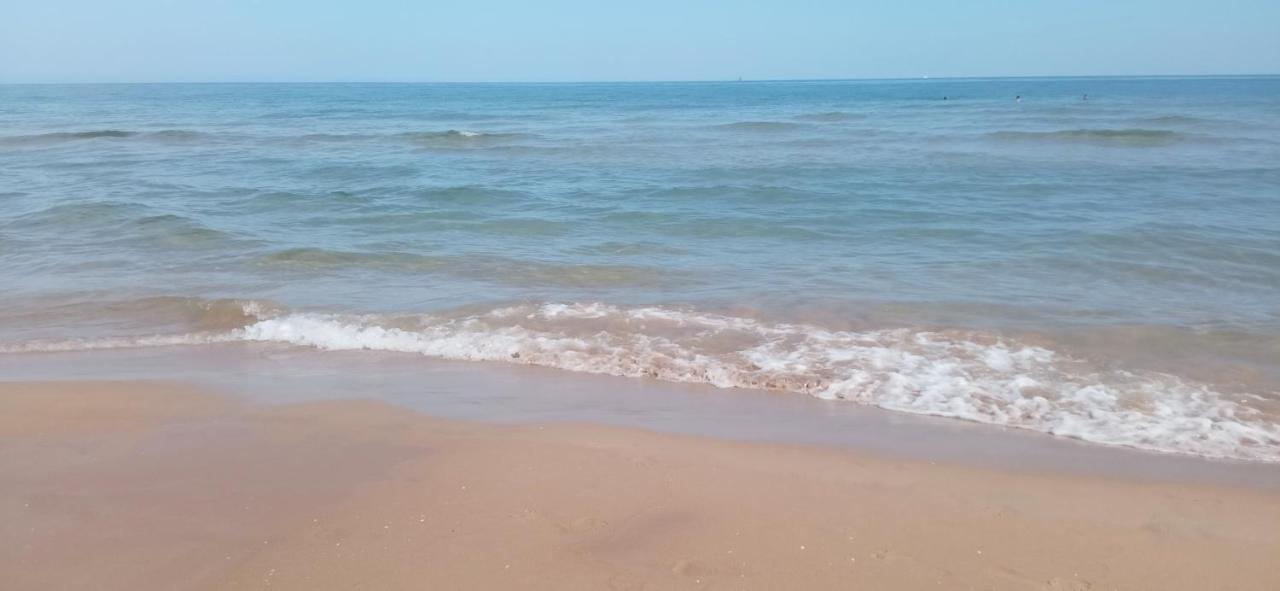 Apartamento Fantástico Apartamento En Playa Gandia *