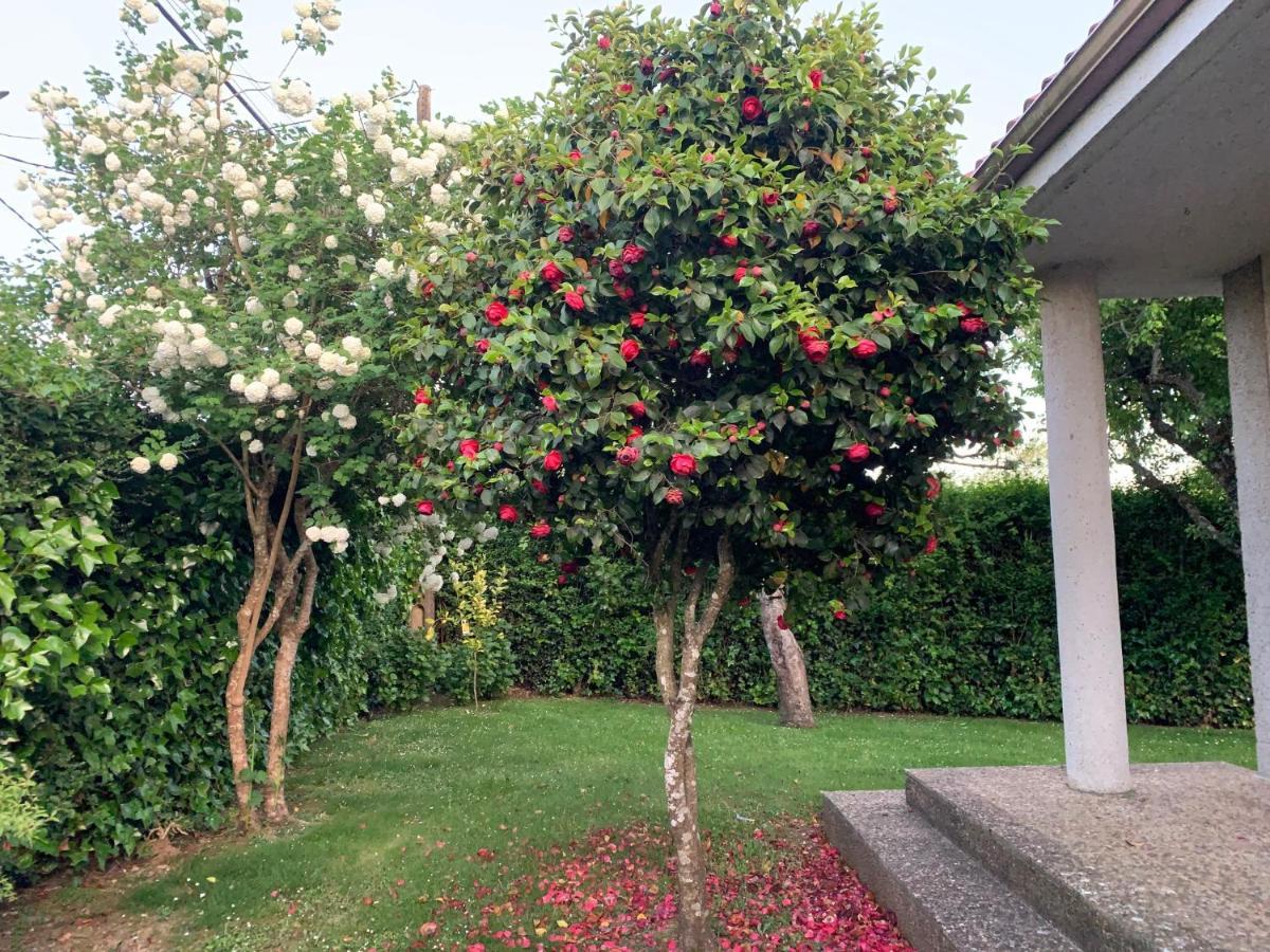 Casa Otilia - Rural - Camino De Santiago - Сasa de vacaciones Arzúa
