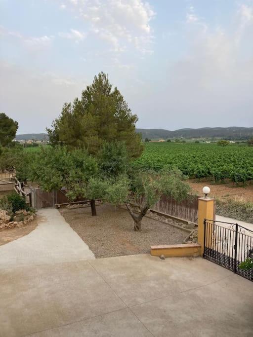 Apartment Cal Murenu Rural *