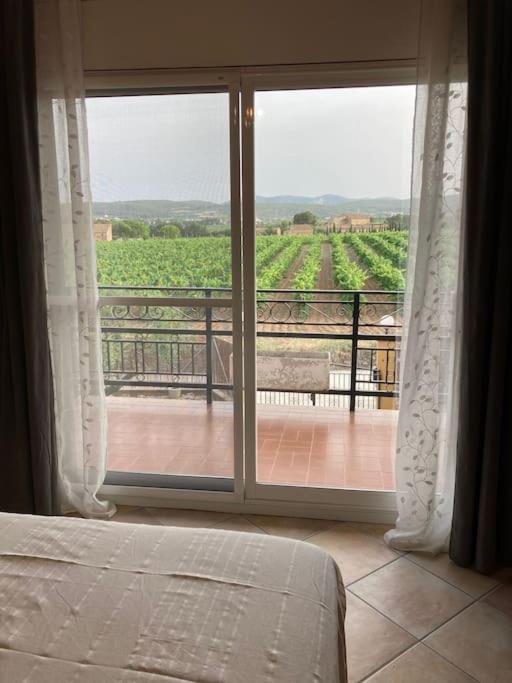 Cal Murenu Rural Apartment *