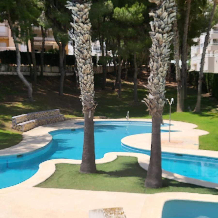 Apartment Ines, Dehesa De Campoamor,900m From The Sea , Swimming Pool & Tennis Court Campoamor