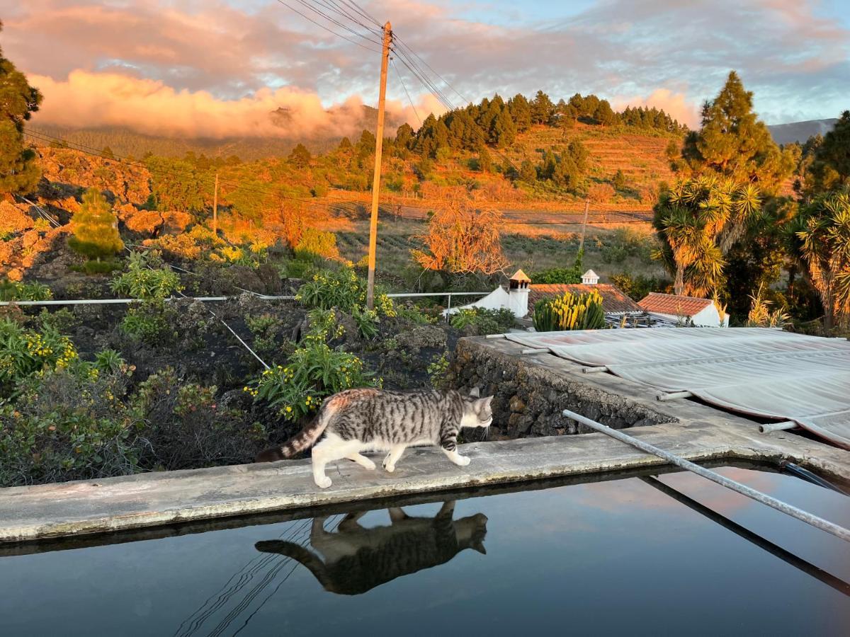 El Oasis