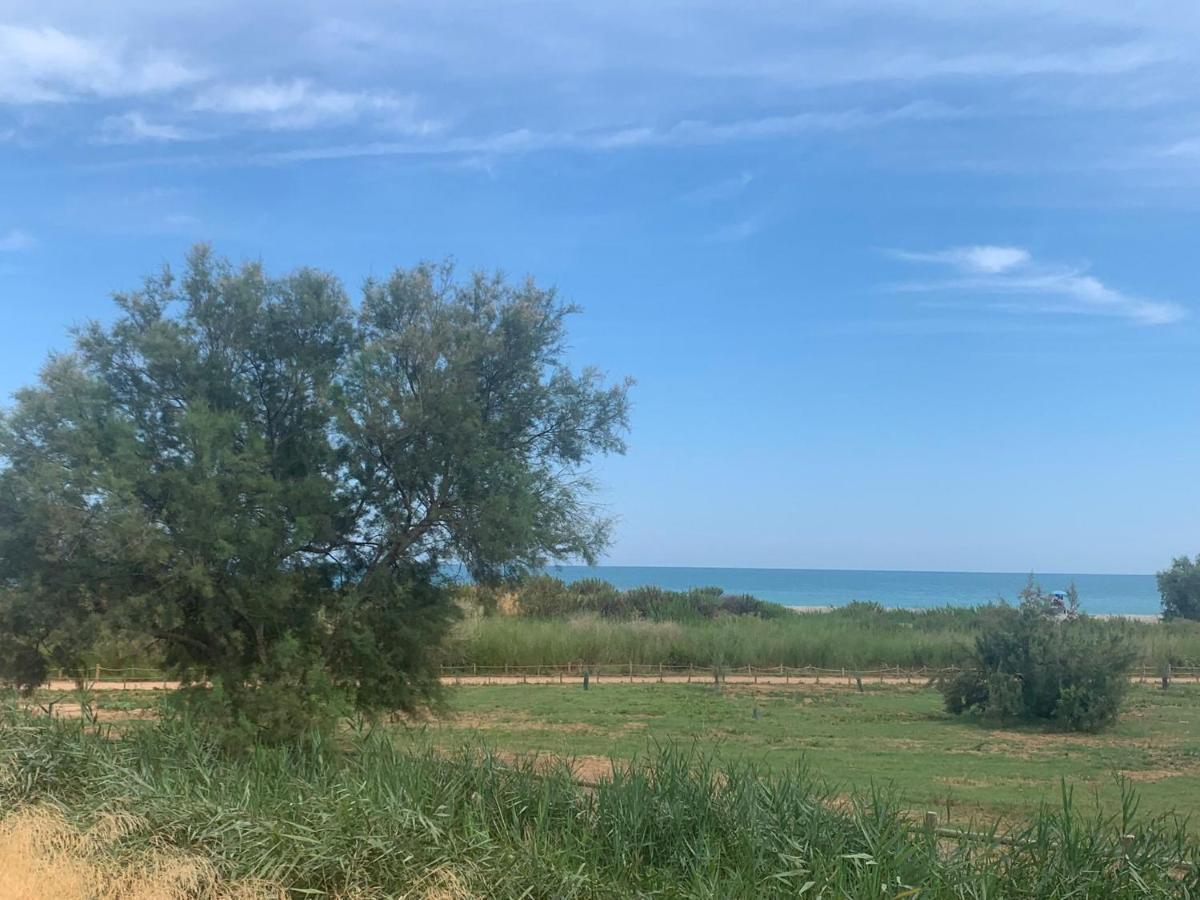 Beachfront With A Private Garden On The Ground Floor Apartamento