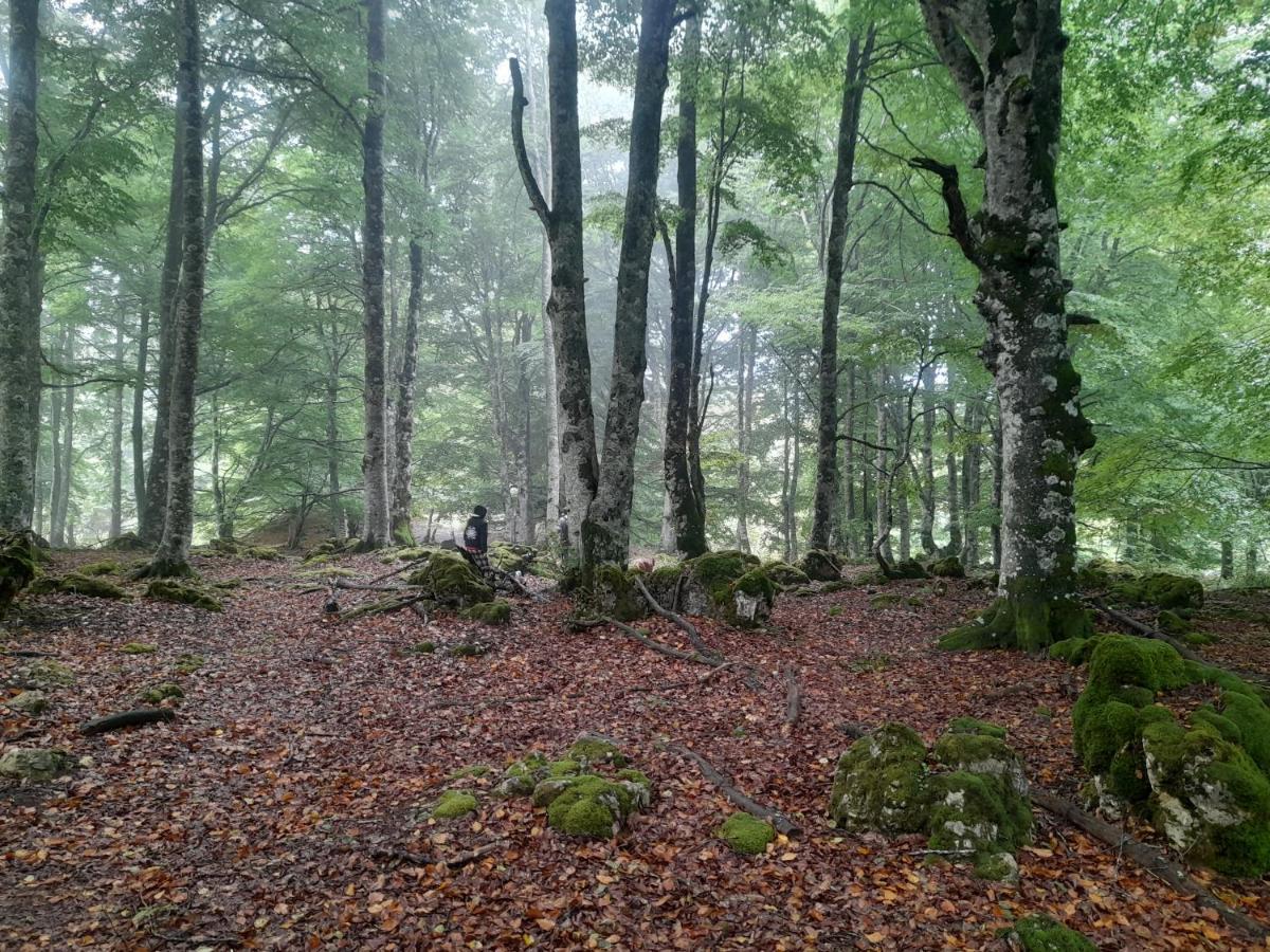 Agroturismo Maitia Larraona
