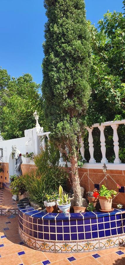 Villa Violetta