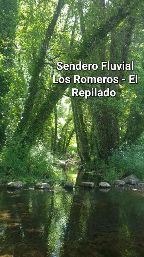 La Casa Junto Al Sendero Del Río Сasa de vacaciones