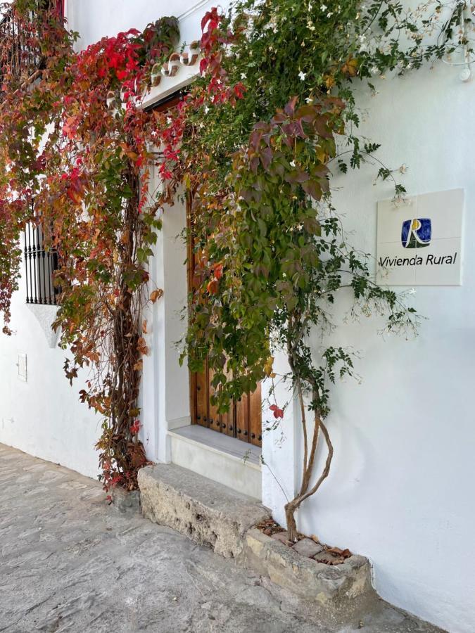 Con Terraza Apartamento Grazalema