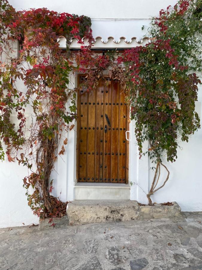 Apartamento Con Terraza *