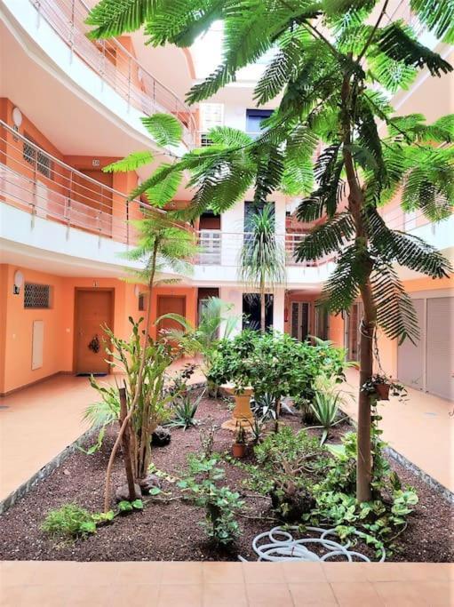 Apartamento In Playa San Juan, Casa Greg *