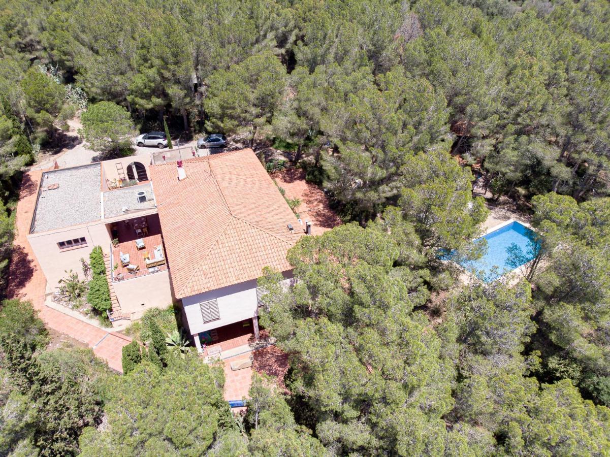 Bed & Breakfast Aldeamia, Forest, Mountain View, At 8 Min