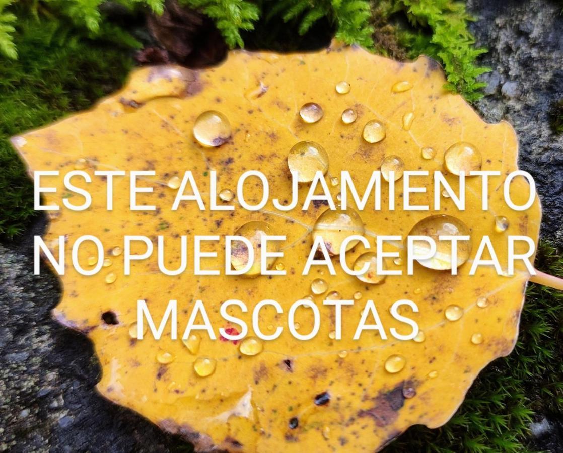 Apartamento Pleta Del Mont Atico Benasque