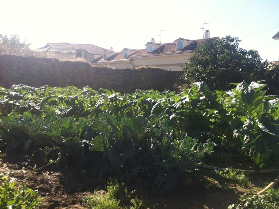 Medieval House Near Pamplona * Artajona