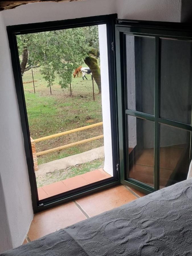Cabrillas La Nava