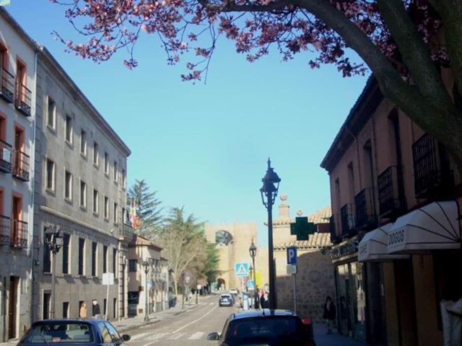 Apartment Albatros