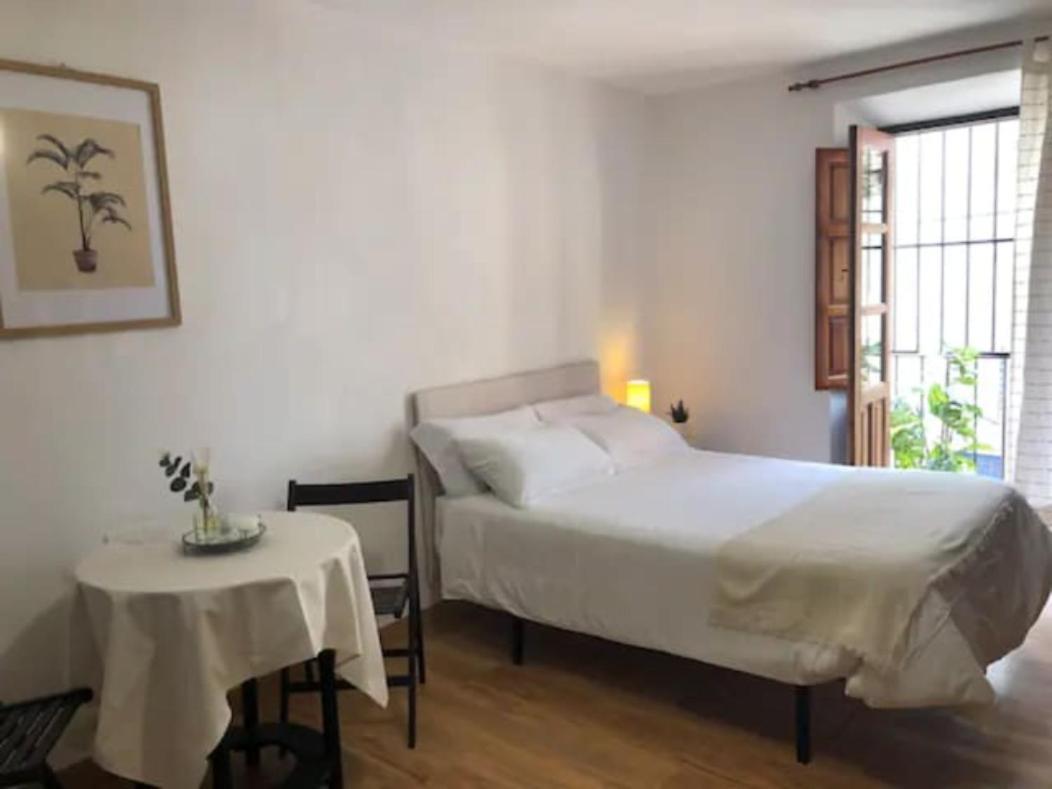Completo Reformado En Arco De Elvira - Centro Apartment Granada