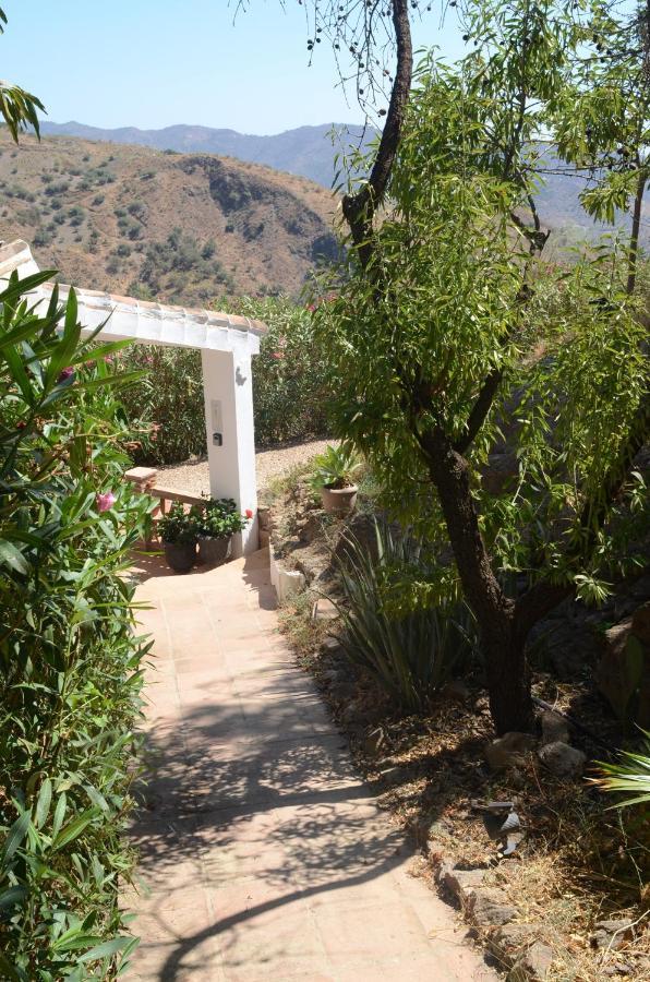 Casa Del Limon Apartment Canillas de Aceituno
