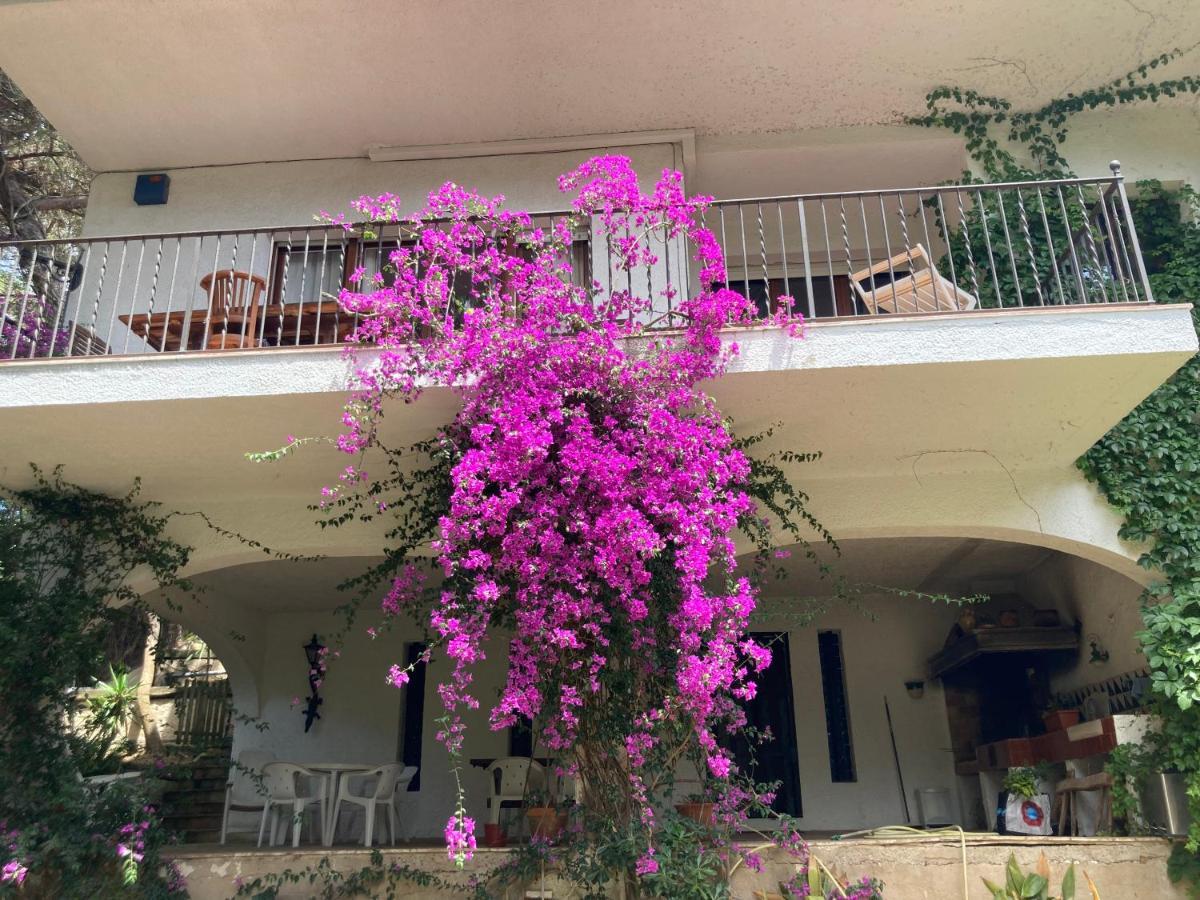Apartamento La Casa Bonita *