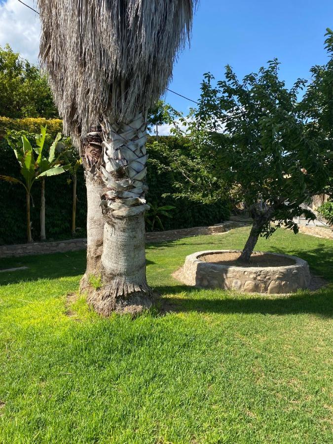 Masia Pau Prat Holiday home Llica d'Amunt