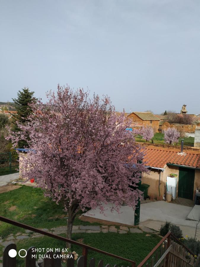 Peregrinos Casaflor *