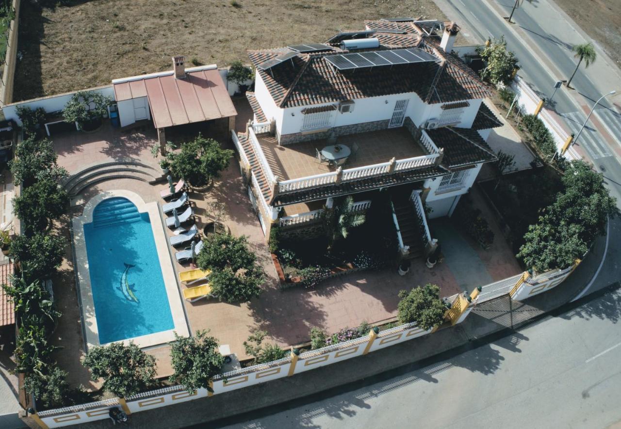 Tess Pastora Alhaurin de la Torre