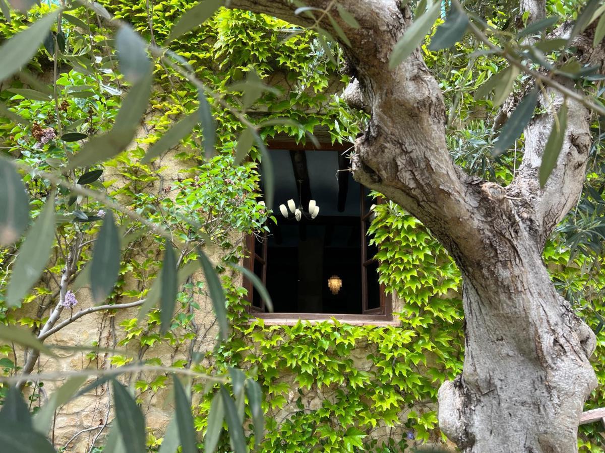Antiguo Molino Apartment Arnes