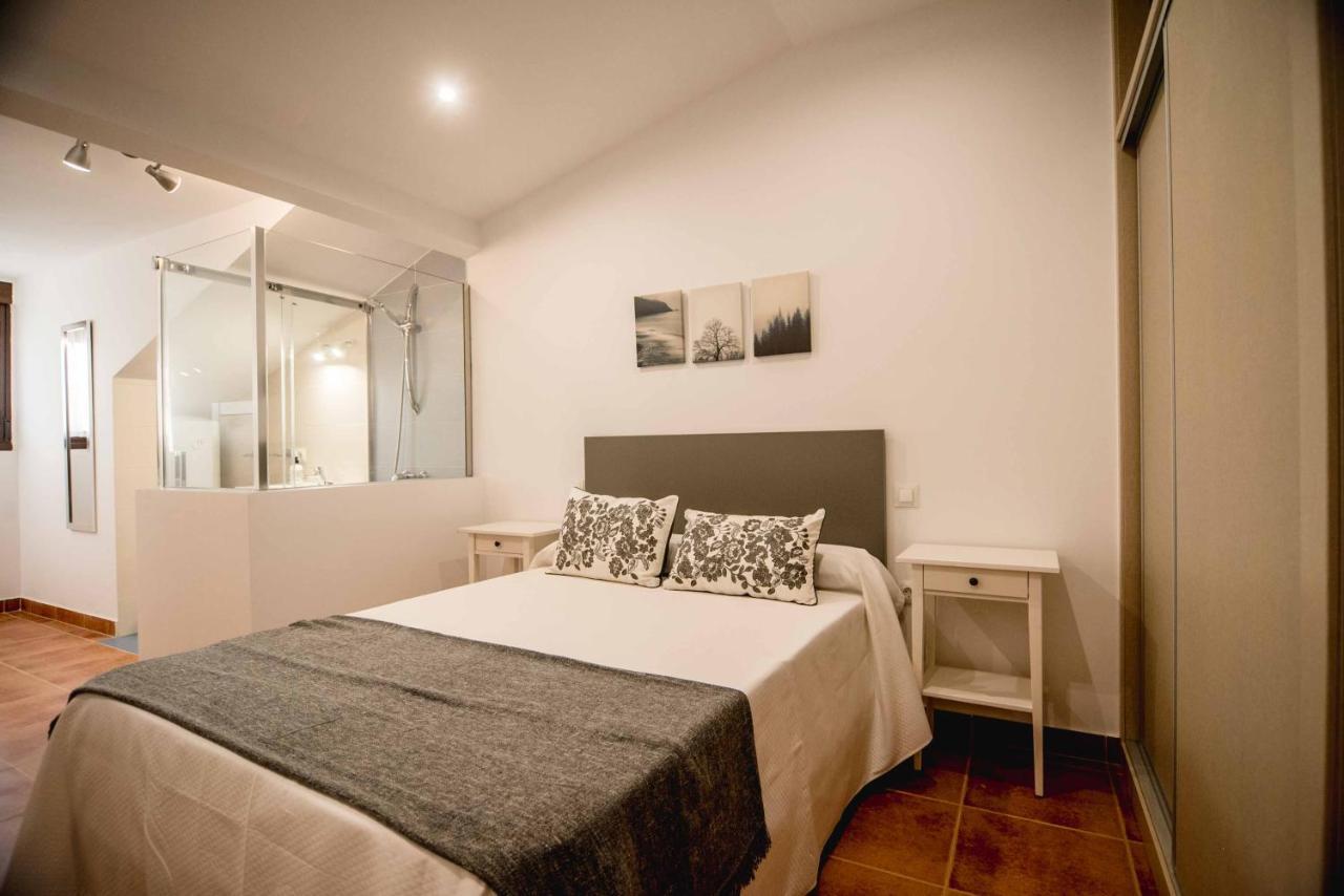 Apartment Al Paso De Toledo, Puy Du Fou A 10km *