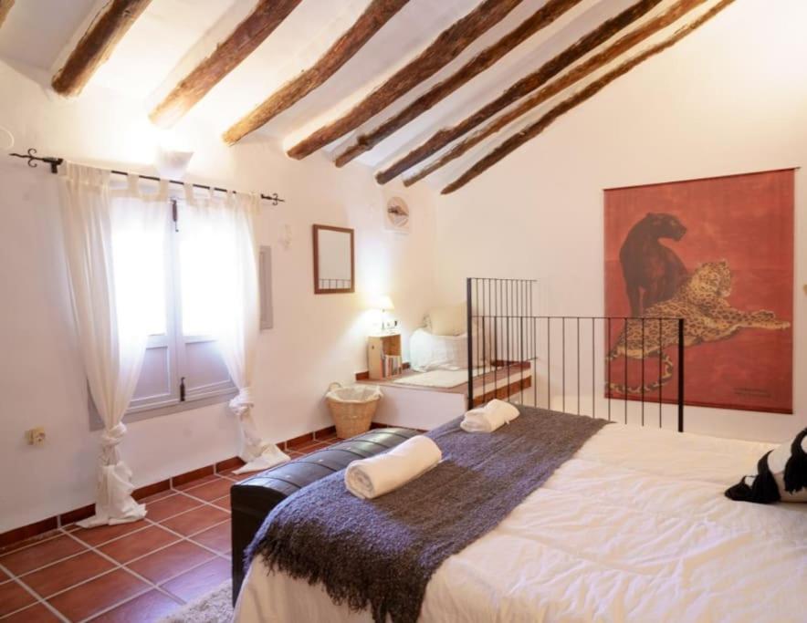 Con Jacuzzi Y Chimenea En Paraje Unico - La Casa Del Pino Holiday home Blanca