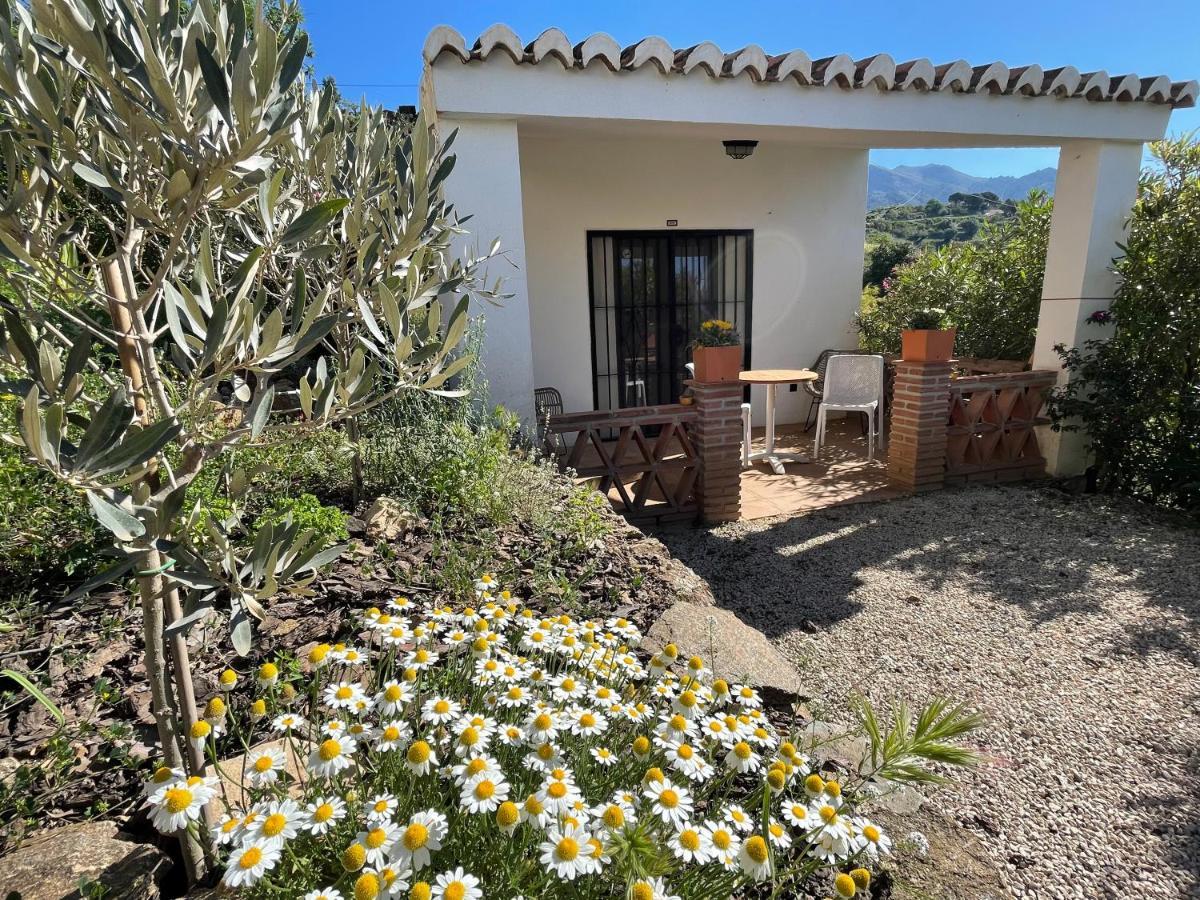 Casa Del Limon