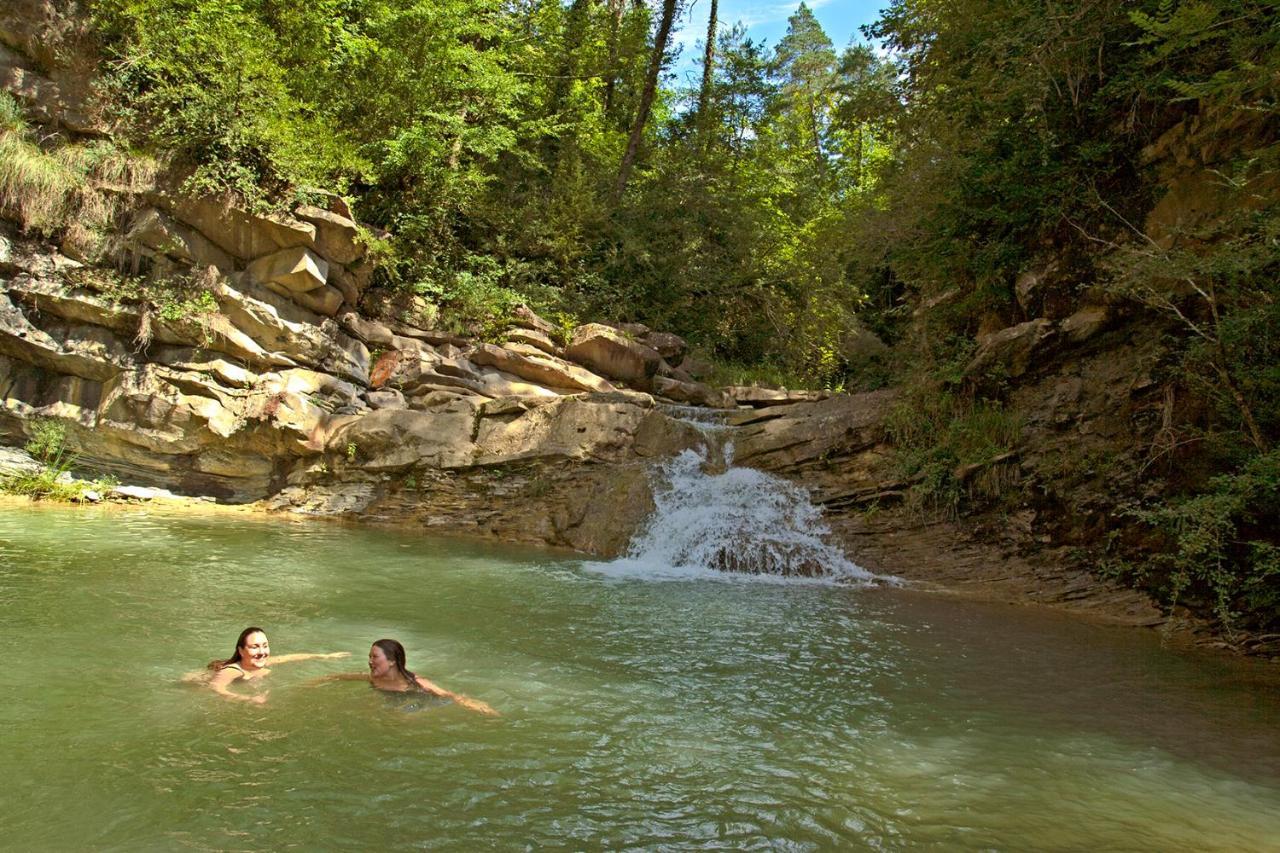 Сasa de vacaciones Cal Peguera, Casa De Cuento En Medio Del Bosque Castell de l'Areny
