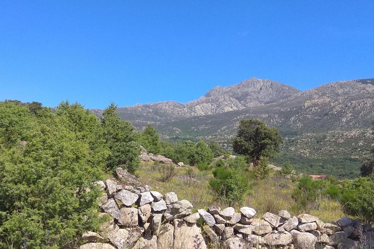 Acogedora En La Sierra De Madrid Holiday home Mataelpino