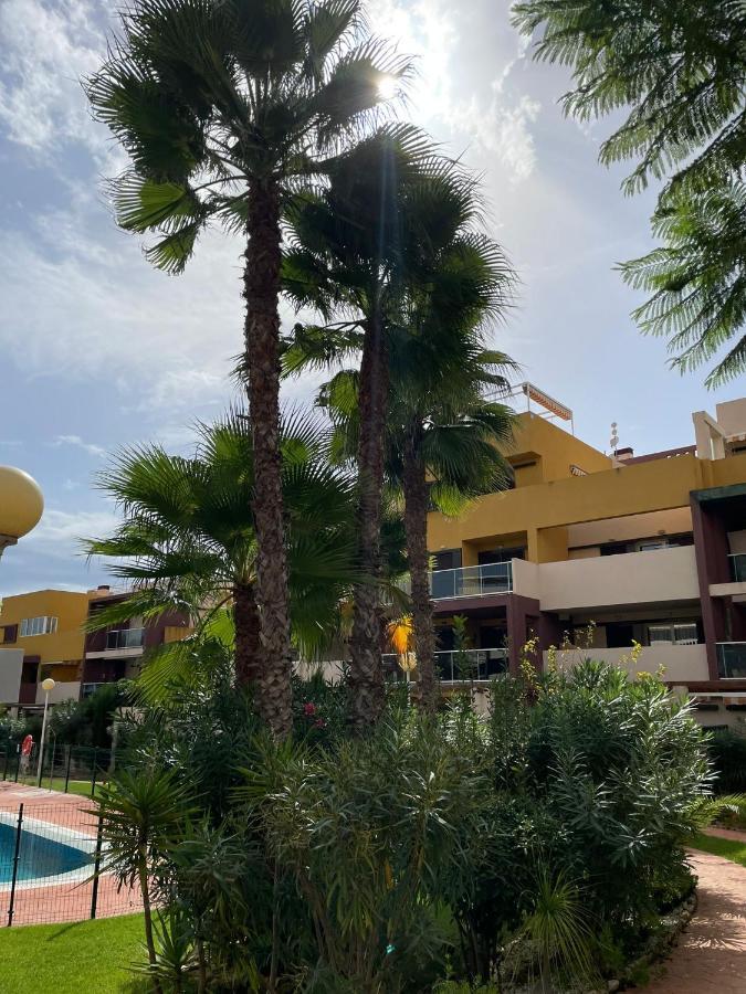 Casa Palmera - El Bosque -