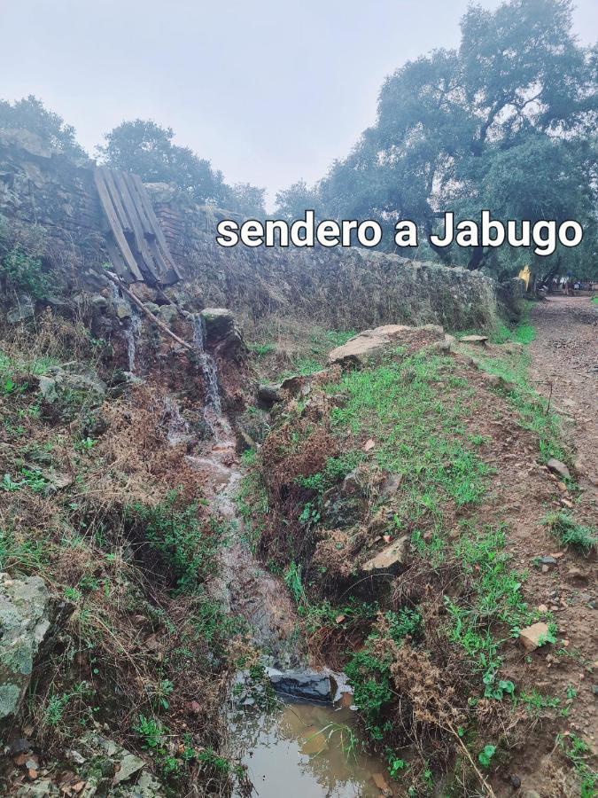La Casa Junto Al Sendero Del Río * Los Romeros