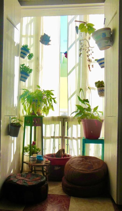 La Pepa Habitación en casa particular