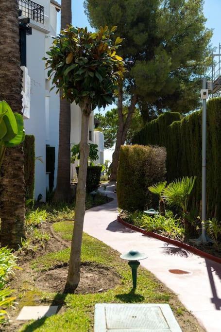 Apartamento Luxury En Rio Real *
