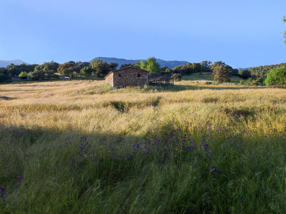 Rural Liceo Hotel Gavilanes