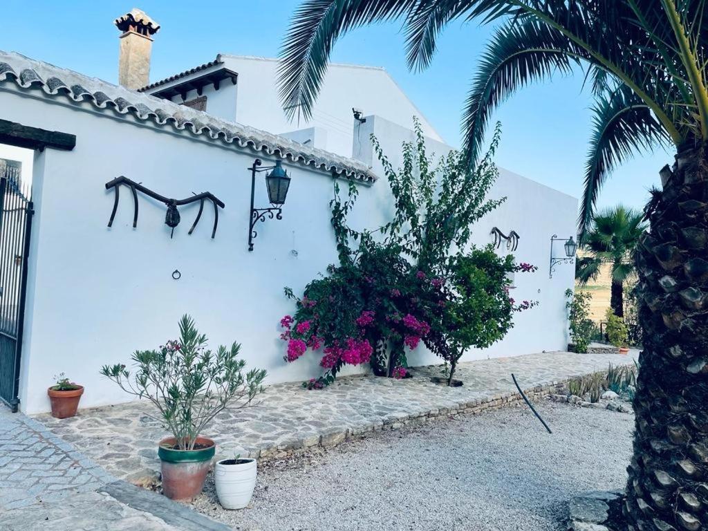 La Mirada De Ronda