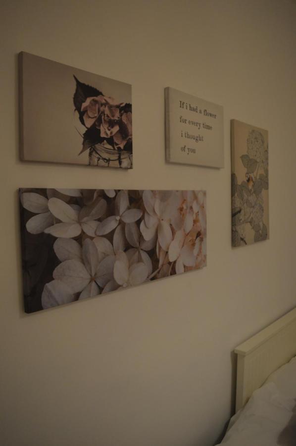 Wish Salado De Apartamento Sevilla