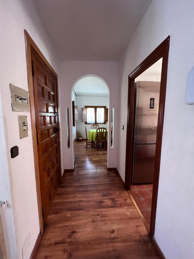 Serafin, Pet Friendly *