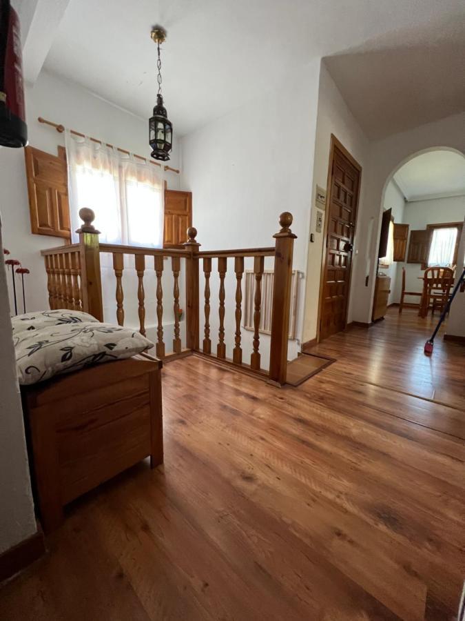Serafin, Pet Friendly Renera