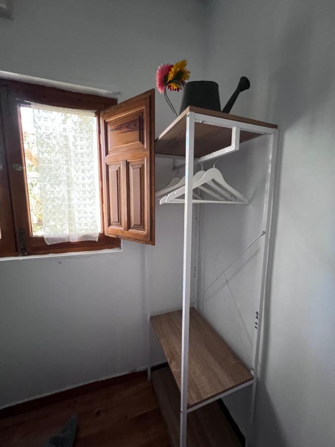 Serafin, Pet Friendly