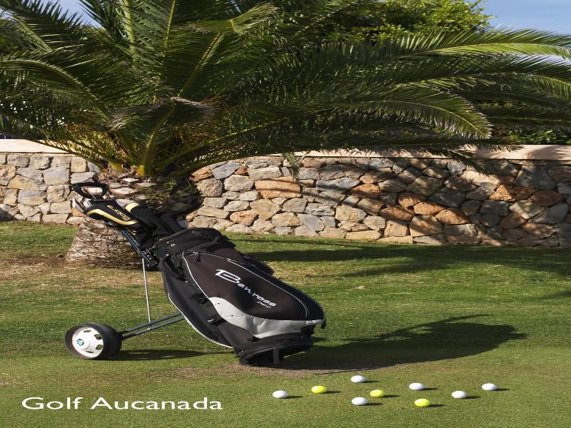 Inmood Aucanada 4 Sup 4*