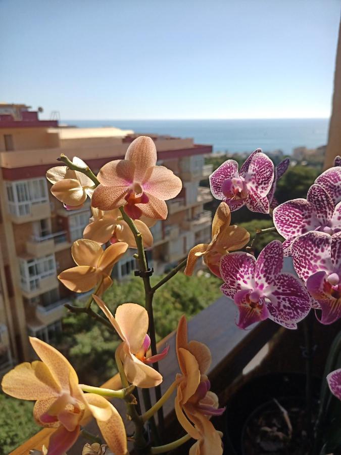 Sweet Benalmadena, Estudio Con Vistas Al Mar Y Excelente Conexion Wifi, Sea View Con Piscinas *