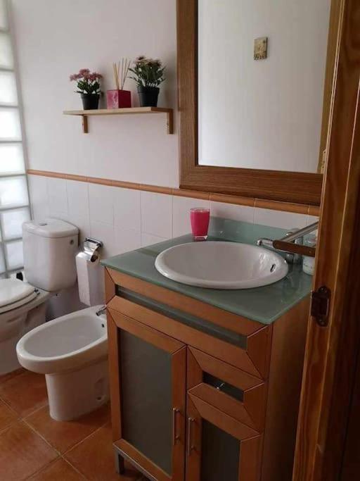 Casa Nora * Villanua