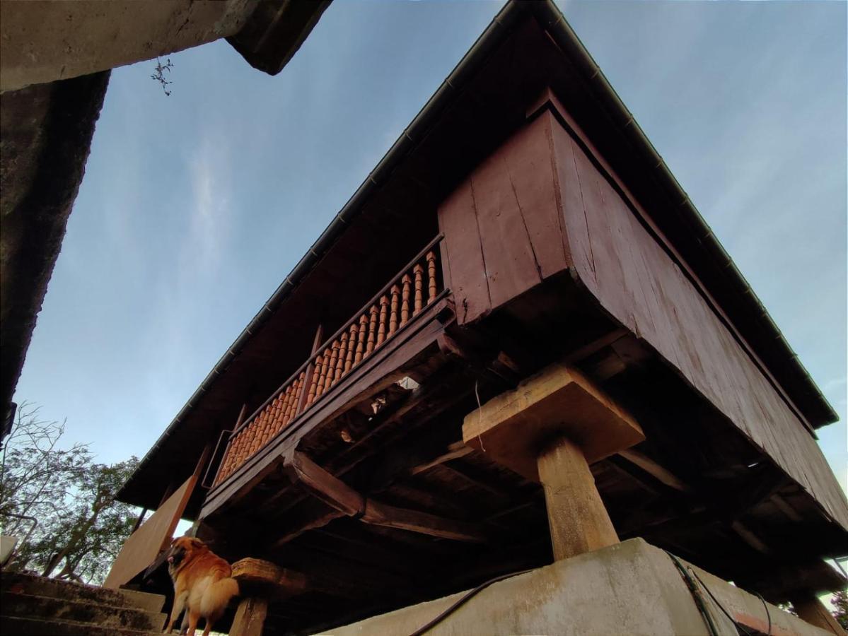 Bed & Breakfast Casa Selmo *