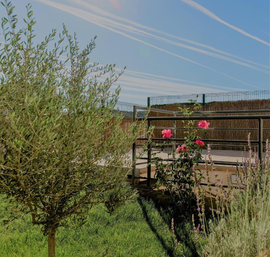 Lavanda Con Piscina Holiday home