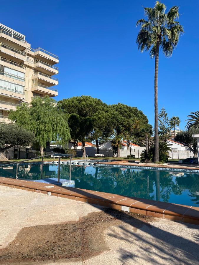 Alpen1 Mediterraneo Apartment *