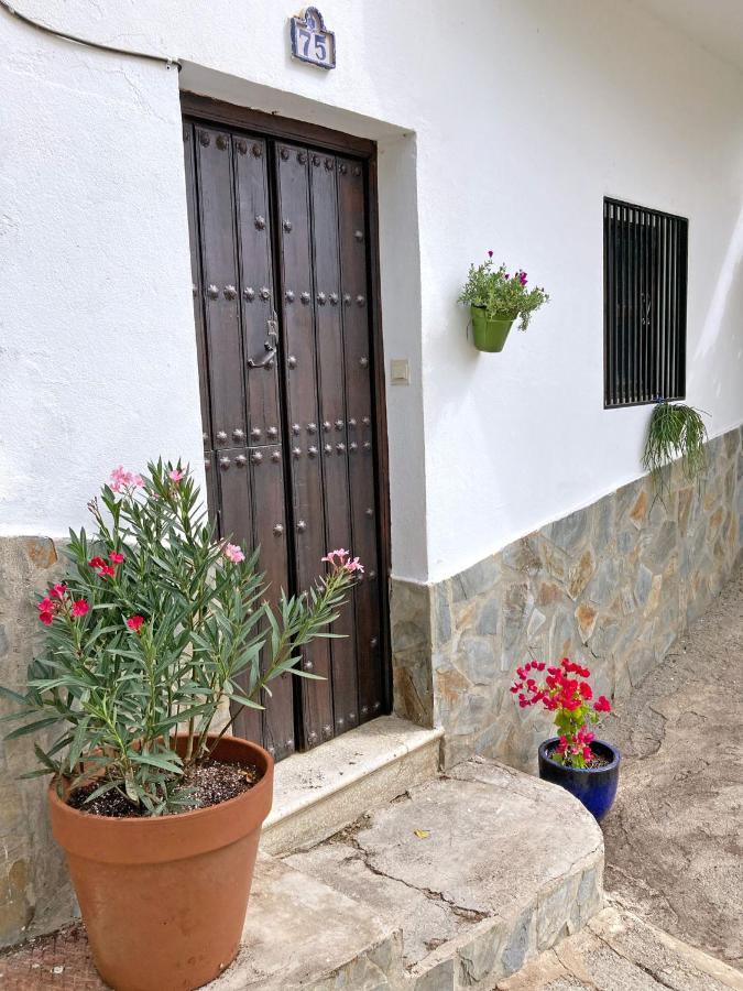 Casa Amigos Sorvilan- La Palmera Sorvilan