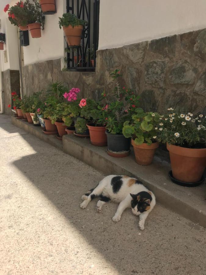 Apartamento Casa Amigos - La Vina