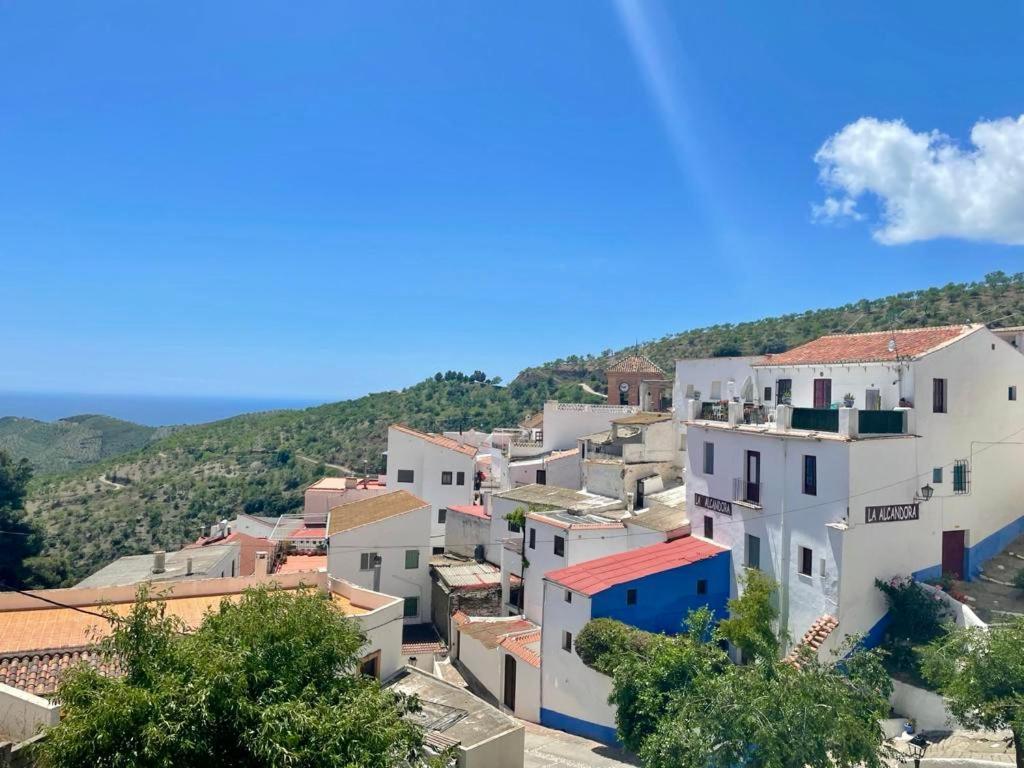Apartamento Casa Amigos - La Vina *